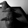 Jan Rauchwerger exhibition Z  (17) 2